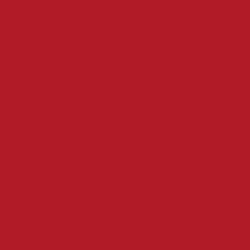 ABS-Kante 76961 rot - ohne Prägung Produktbild