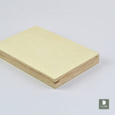 FinePly Rohsperrholz, Decklage Pappel 0,8 mm, Mittellage Pappel Produktbild
